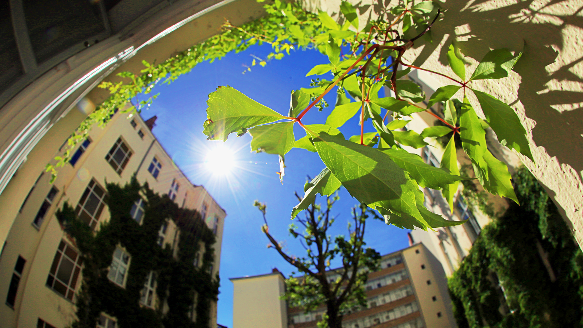 Illustration article Loi climat et résilience loiclimatetresilience-article